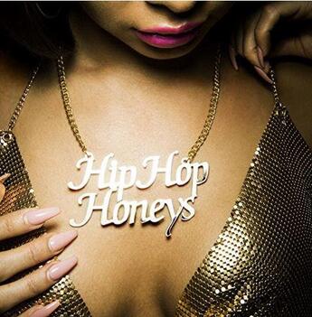 Couverture du livre « Brian finke hip hop honeys » de Brian Finke aux éditions Powerhouse