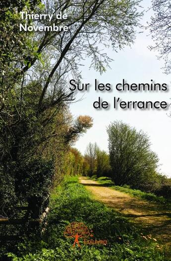 Couverture du livre « Sur les chemins de l'errance » de De Novembre Thierry aux éditions Edilivre