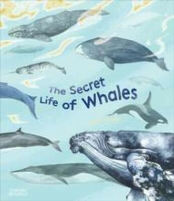 Couverture du livre « The secret life of whales » de Ortega Rena aux éditions Thames & Hudson