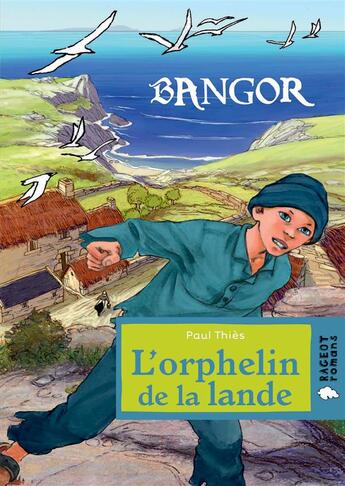 Couverture du livre « Bangor ; l'orphelin de la lande » de Paul Thies aux éditions Rageot