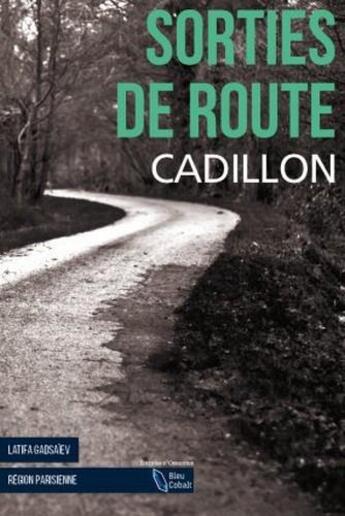 Couverture du livre « Sorties de route » de Bruno Cadillon aux éditions D'orbestier