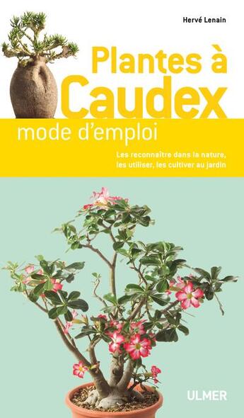 Couverture du livre « Plantes à caudex de A à Z » de Herve Lenain aux éditions Eugen Ulmer