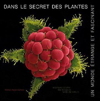 Couverture du livre « Dans le secret des plantes ; un monde étrange et fascinant » de Wolfgang Stuppy aux éditions Romain Pages