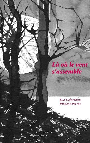 Couverture du livre « Là où le vent s'assemble » de Vincent Perrot et Eva Colomban aux éditions Editions Thot