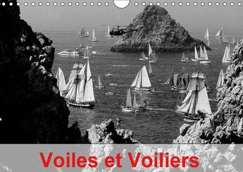 Couverture du livre « Les grands voiliers possedent » de Dominique Leroy aux éditions Calvendo