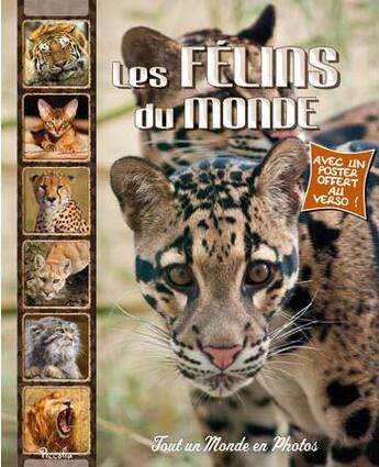 Couverture du livre « Tout un monde en photos ; les félins du monde » de  aux éditions Piccolia