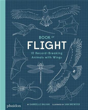 Couverture du livre « Book of flight ; 10 record-breaking animals with wings » de Sam Brewster et Gabrielle Balkan aux éditions Phaidon Jeunesse