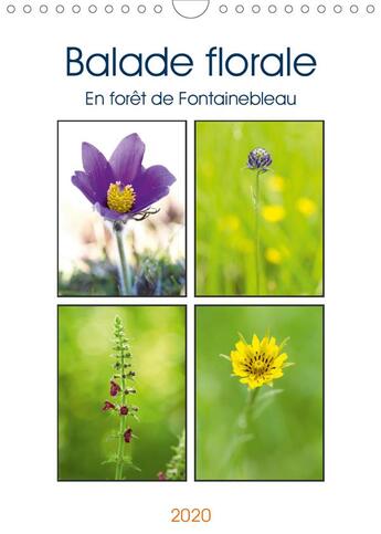 Couverture du livre « Balade florale en foret de fontainebleau calendrier mural 2020 din a4 vertical - decouvrez une jolie » de Makhloufi Djama aux éditions Calvendo