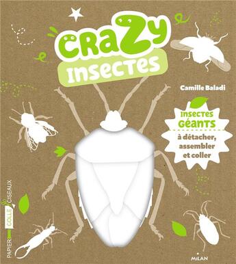 Couverture du livre « Crazy insectes » de Camille Baladi aux éditions Milan