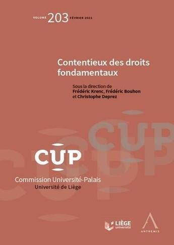 Couverture du livre « Contentieux des droits fondamentaux » de  aux éditions Anthemis