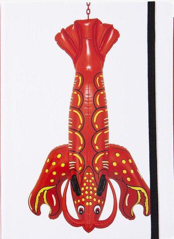 Couverture du livre « Grand carnet Koons, lobster 2003 » de  aux éditions Centre Pompidou