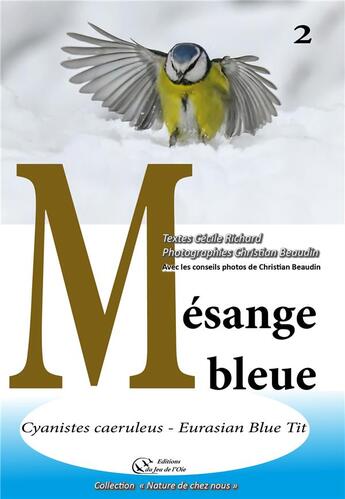 Couverture du livre « Mesange bleue » de Christian Beaudin aux éditions Du Jeu De L'oie