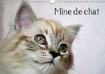 Couverture du livre « Mine de chat calendrier mural 2018 din a4 horizontal - photos fascinantes des tigres » de Chrystal J aux éditions Calvendo