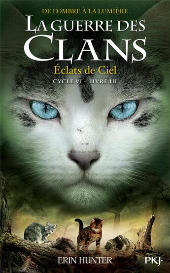 Couverture du livre « La guerre des clans - cycle 6 ; de l'ombre à la lumière Tome 3 : éclats de ciel » de Erin Hunter aux éditions Pocket Jeunesse