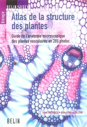 Couverture du livre « Atlas de la structure des plantes - guide de l'anatomie microscopique des plantes vasculaires en 285 » de Speranza/Calzoni aux éditions Belin Education