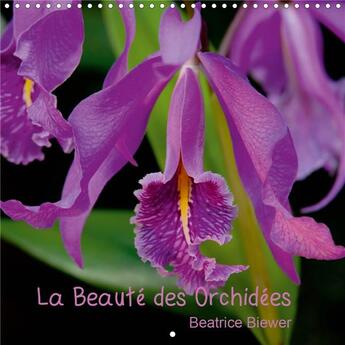 Couverture du livre « La beaute des orchidees calendrier mural 2020 300 300 mm square - des fleurs fascinantes au form » de Beatrice Biewer aux éditions Calvendo