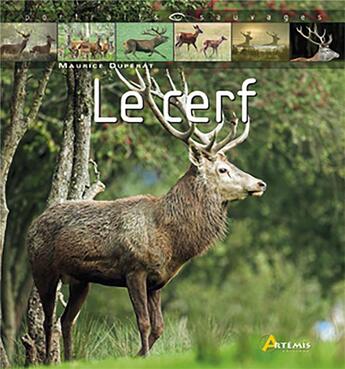 Couverture du livre « Le cerf » de  aux éditions Artemis