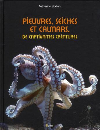 Couverture du livre « Pieuvres, seiches et calmars ; de captivantes créatures » de Catherine Vadon aux éditions Belin Education