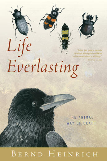 Couverture du livre « Life Everlasting » de Heinrich Bernd aux éditions Houghton Mifflin Harcourt