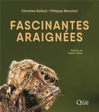 Couverture du livre « Fascinantes araignées (3e édition) » de Christine Rollard et Philippe Blanchot aux éditions Quae