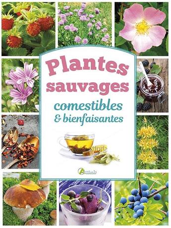 Couverture du livre « Plantes sauvages comestibles & bienfaisantes » de  aux éditions Artemis