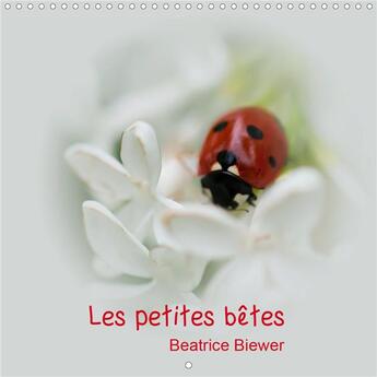 Couverture du livre « Les petites betes calendrier mural 2020 300 300 mm square - les jolies petites betes de no » de Beatrice Biewer aux éditions Calvendo