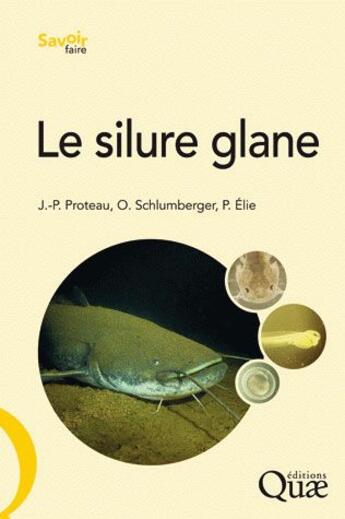 Couverture du livre « Le silure glane » de Proteau/Schlumberger aux éditions Quae