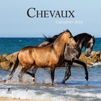 Couverture du livre « Calendrier chevaux (édition 2018) » de  aux éditions Place Des Victoires