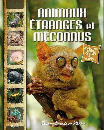 Couverture du livre « Tout un monde en photos ; les animaux étranges et méconnus » de  aux éditions Piccolia