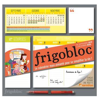 Couverture du livre « Frigobloc 2020 hebdomadaire - calendrier d'organisation familiale / semaine (sept. 2019 -dec. 2020) » de  aux éditions Play Bac