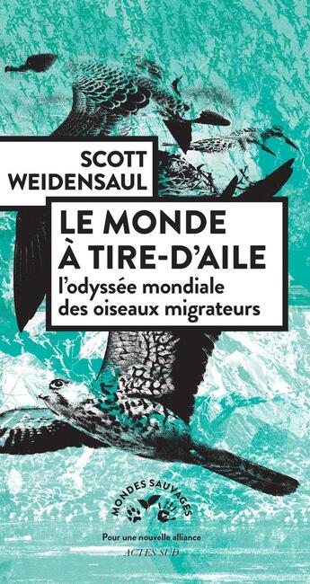 Couverture du livre « Le monde à tire-d'aile : L'odyssée mondiale des oiseaux migrateurs » de Weidensaul Scott aux éditions Actes Sud