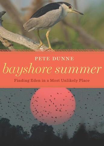 Couverture du livre « Bayshore Summer » de Dunne Pete aux éditions Houghton Mifflin Harcourt