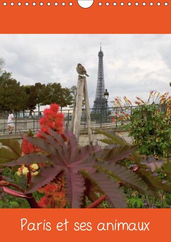 Couverture du livre « Photos de paris avec ses oisea » de Capella Mp aux éditions Calvendo