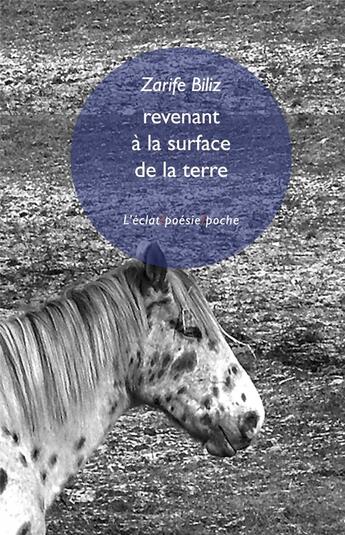 Couverture du livre « Revenant à la surface de la terre » de Zarife Biliz aux éditions Eclat