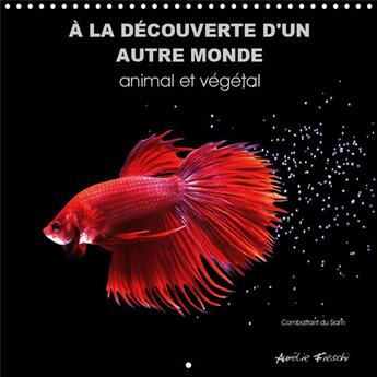 Couverture du livre « Un univers graphique et feeriq » de Aurelie Fieschi aux éditions Calvendo