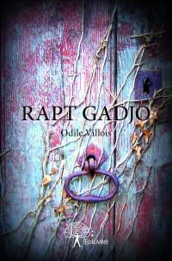 Couverture du livre « Rapt gadjo » de Odile Villois aux éditions Edilivre