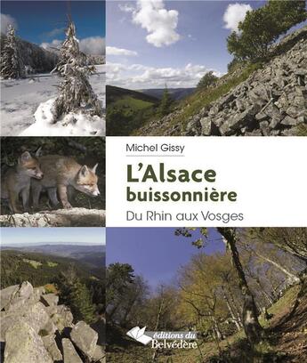 Couverture du livre « L'Alsace buissonnière ; du Rhin aux Vosges » de Michel Gissy aux éditions L'harmattan