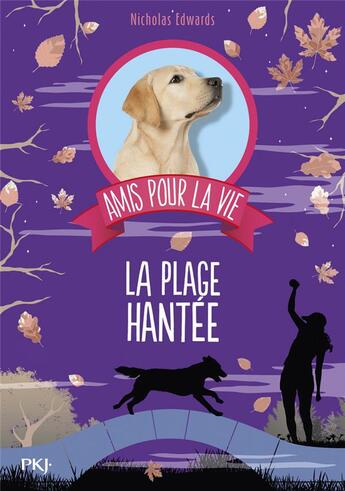 Couverture du livre « Amis pour la vie Tome 3 : la plage hantée » de Nicholas Edwards aux éditions Pocket Jeunesse