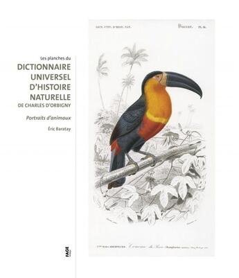 Couverture du livre « Les planches du dictionnaire universel d'histoire naturelle de Charles d'Orbigny ; dessins d'animaux au XIX siècle » de Eric Baratay aux éditions Fage