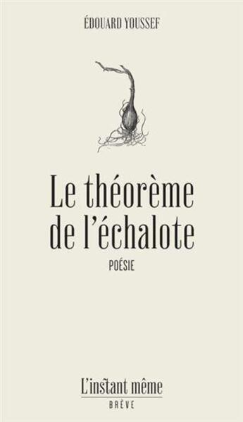 Couverture du livre « Le théorème de l'échalote » de Edouard Youssef aux éditions Instant Meme