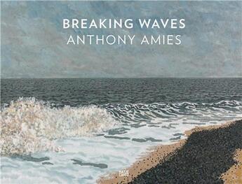 Couverture du livre « Anthony Amies : breaking waves » de Neubert Jens/Feilche aux éditions Hatje Cantz