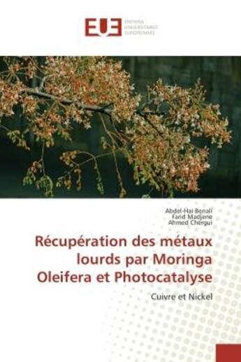 Couverture du livre « Recuperation des metaux lourds par Moringa Oleifera et Photocatalyse : Cuivre et Nickel » de Benali, , Abdel-Hai aux éditions Editions Universitaires Europeennes