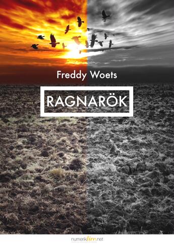 Couverture du livre « Ragnarök » de Woets Freddy aux éditions Numeriklivres