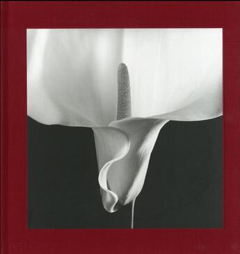 Couverture du livre « Flora : les fleurs de Mapplethorpe » de Dimitri Levas et Mark Holborn aux éditions Phaidon