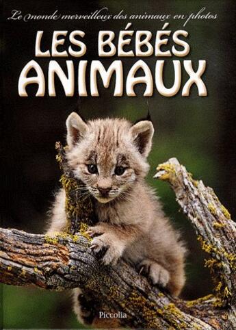 Couverture du livre « Le monde merveilleux des animaux en photos ; les bébés animaux » de  aux éditions Piccolia