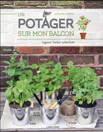 Couverture du livre « Un potager sur mon balcon » de Philippe Asseray aux éditions Larousse