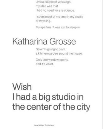 Couverture du livre « Katharina grosse wish i had a big studio in the center of the city » de Katharina Grosse aux éditions Lars Muller