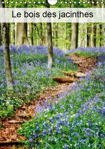 Couverture du livre « Hallerbos la foret feerique ca » de Patrick Bombaer aux éditions Calvendo