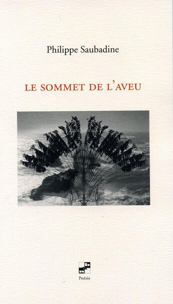 Couverture du livre « Le sommet de l'aveu » de Philippe Saubadine aux éditions N Et B Editions