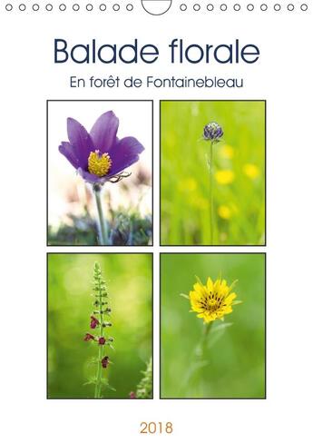 Couverture du livre « Balade florale en foret de fontainebleau calendrier mural 20 - decouvrez une jolie fleur sauv » de Makhloufi D aux éditions Calvendo